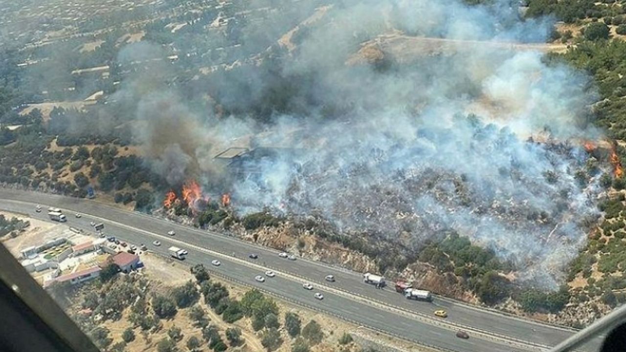 Belkahve'de yangın! Kısa sürede kontrol altına alındı