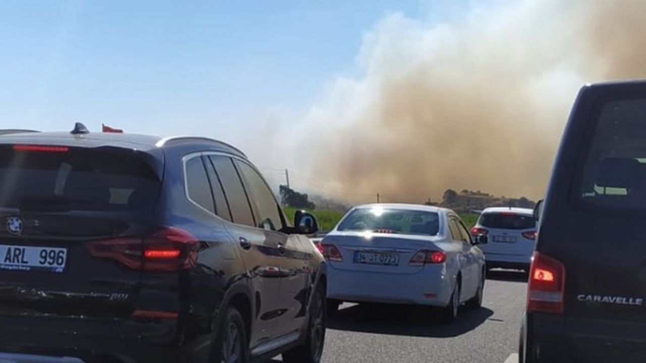 Dikili'de orman yangını! Yoğun dumanlar yükseliyor