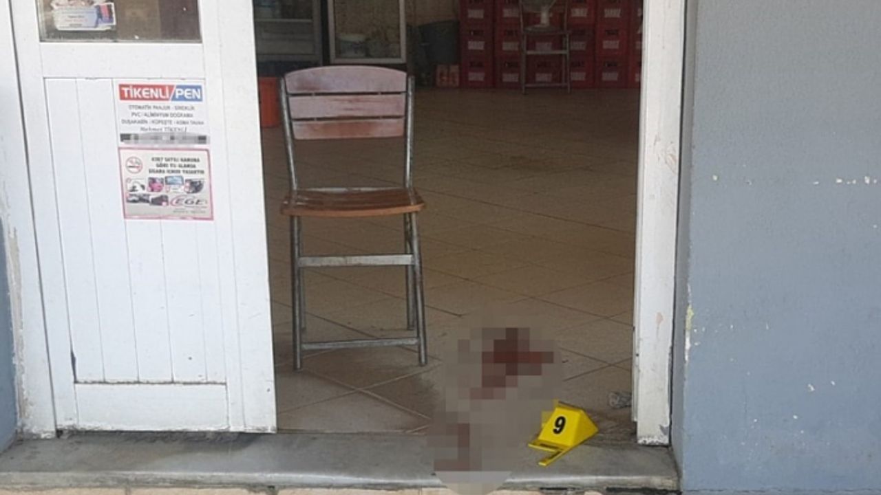 İki aile arasındaki kavga kanlı bitti!