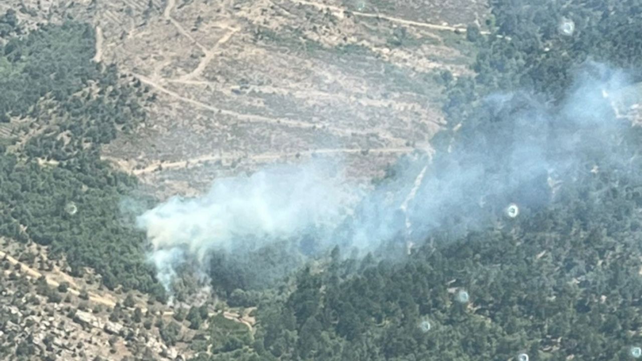 İzmir'in iki ilçesinde yangın paniği