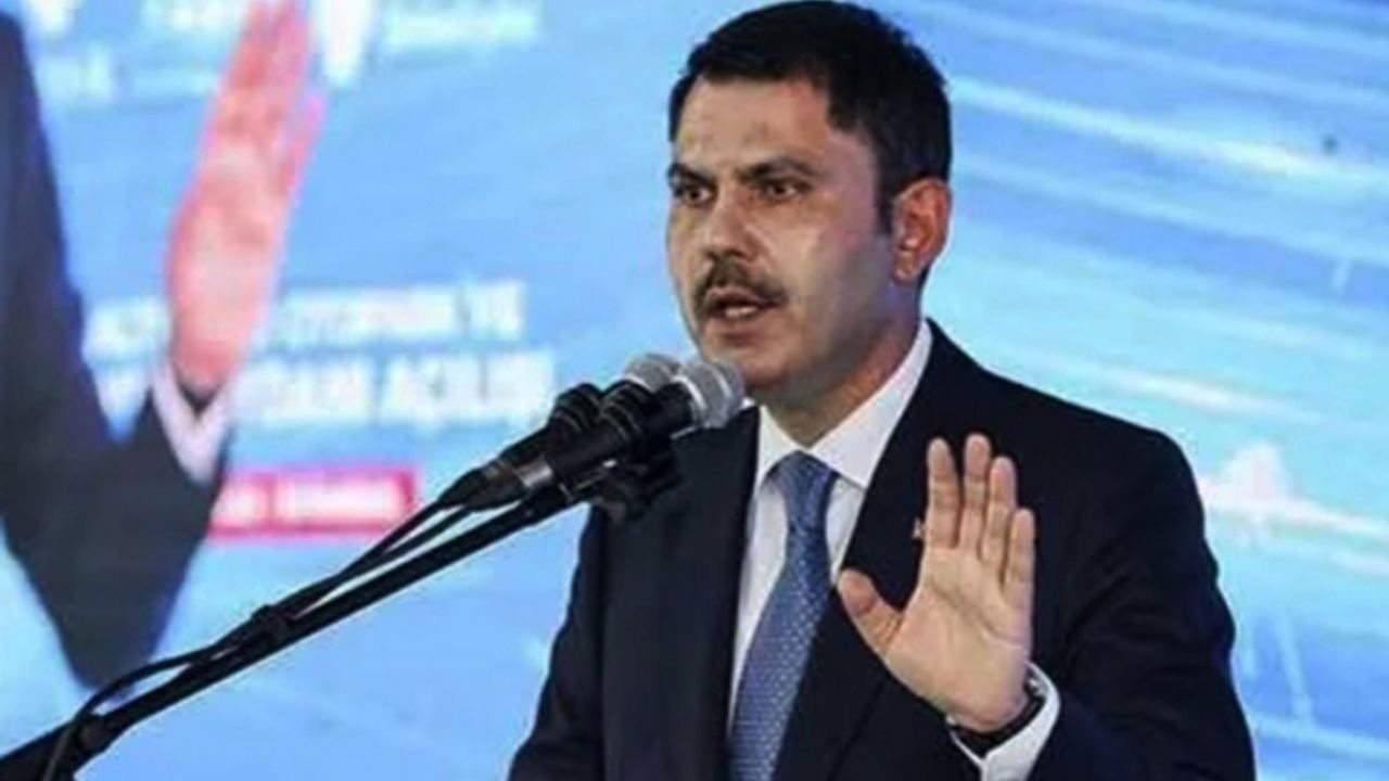 Bakan Kurum'dan 'kesilen çınar' tepkisi: Onlar kıyar biz dikeriz