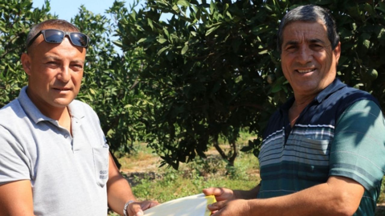 Güzelbahçe'de üreticiye destek sürüyor
