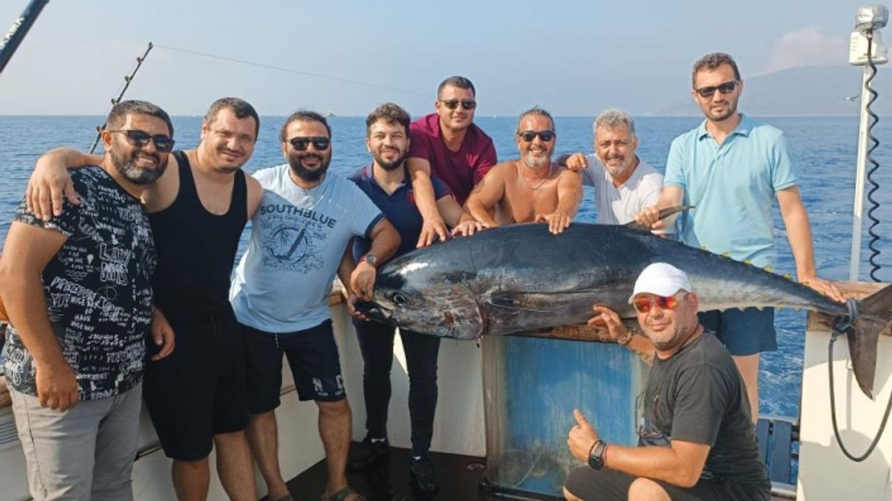 İzmir'de 2 metrelik orkinos yakalandı