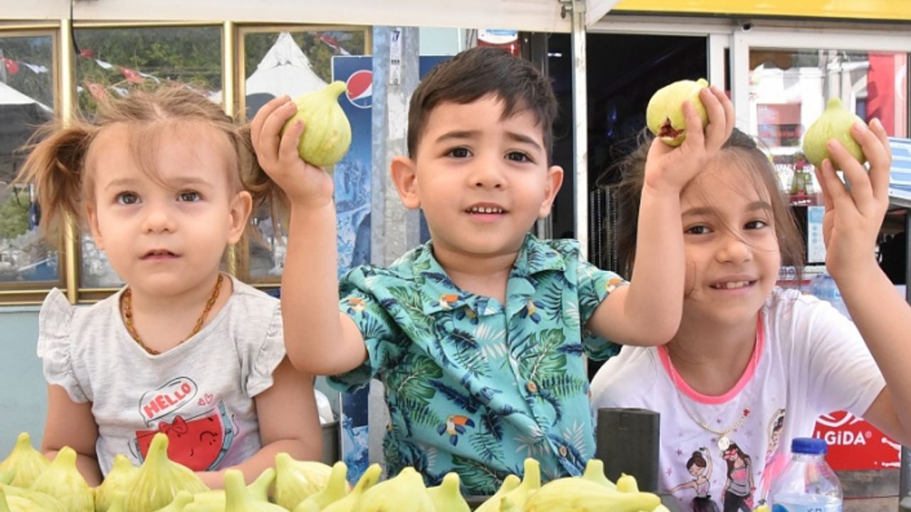 Torbalı'da Bardacık İnciri Festivali heyecanı