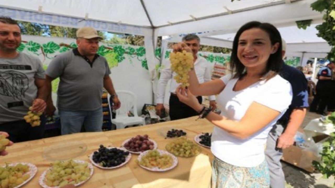 Efes Selçuk'ta üzüm şenliği heyecanı
