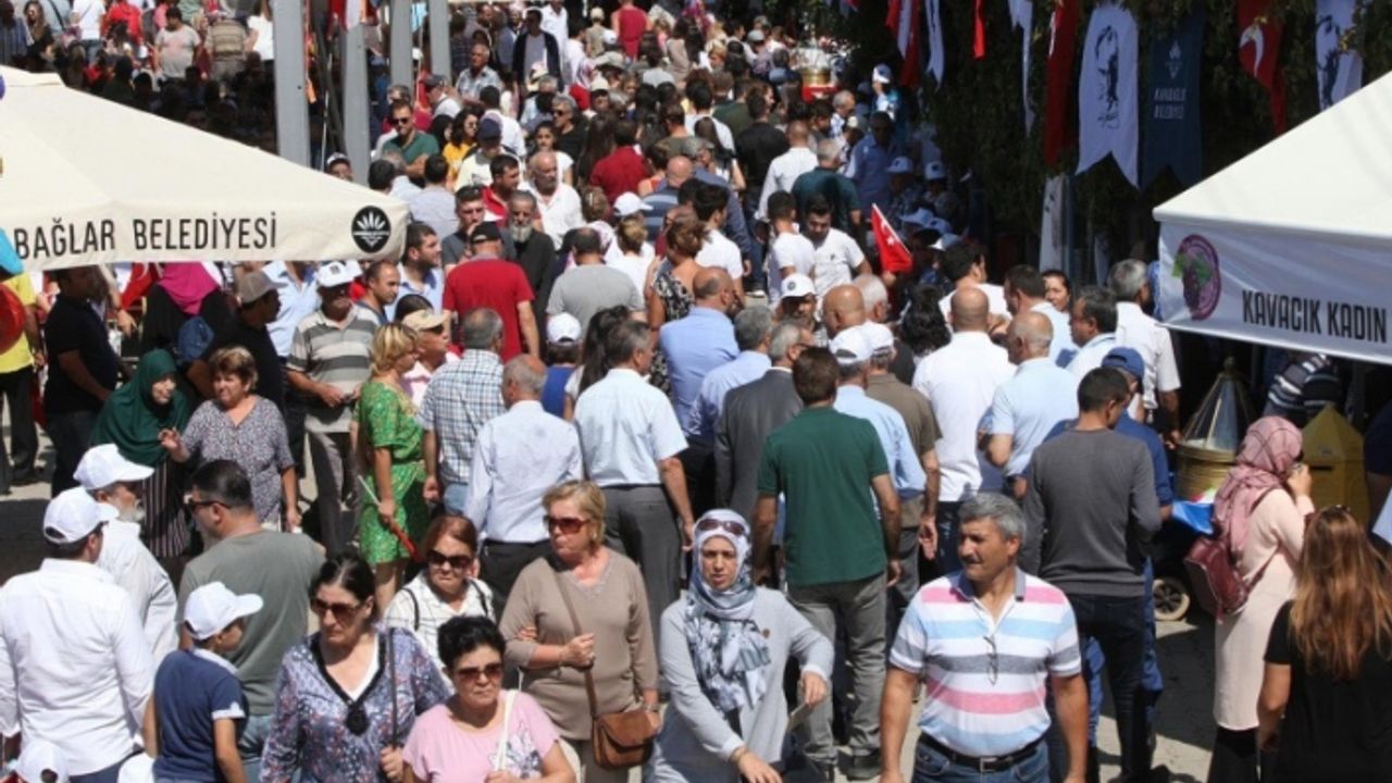 Kavacık yine Üzüm Festivali'yle şenlenecek