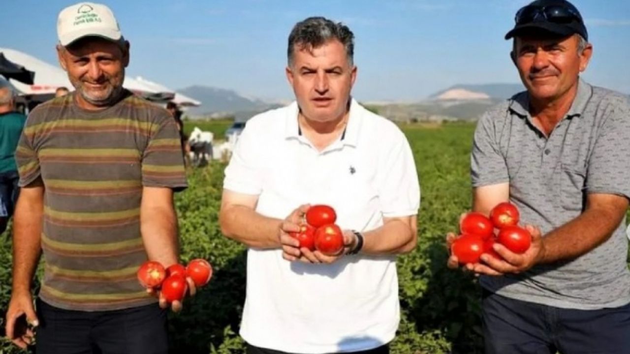 Kınık kuru domatesi artık bir marka