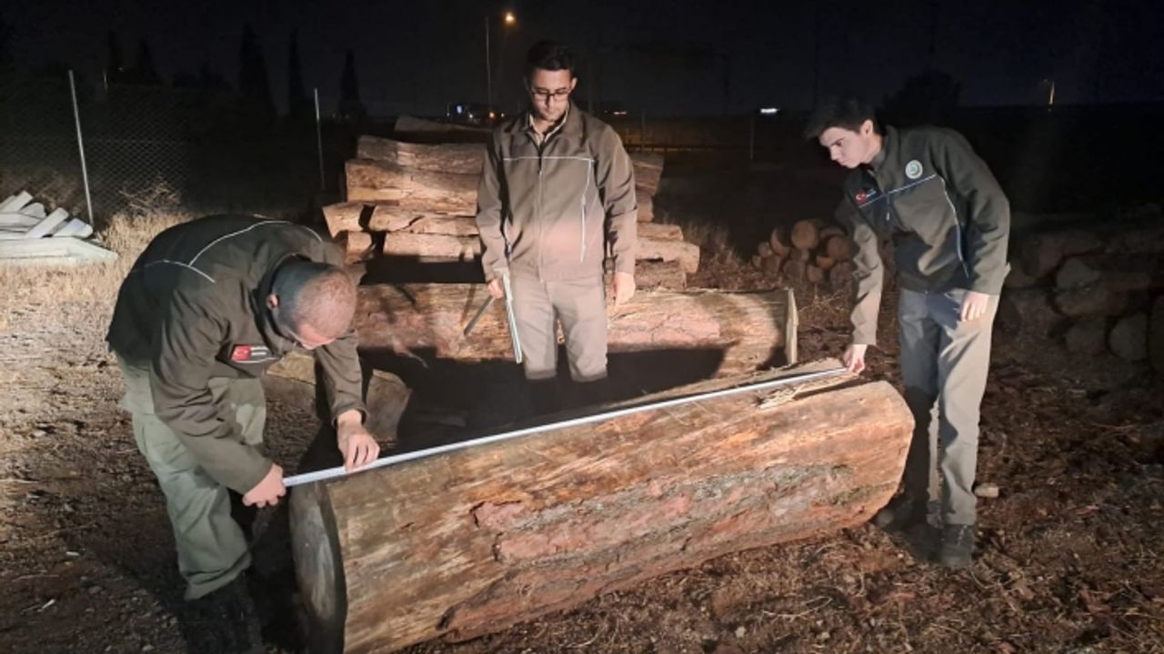 İzmir'de ormanda ağaç kesen 3 kişi suçüstü yakalandı