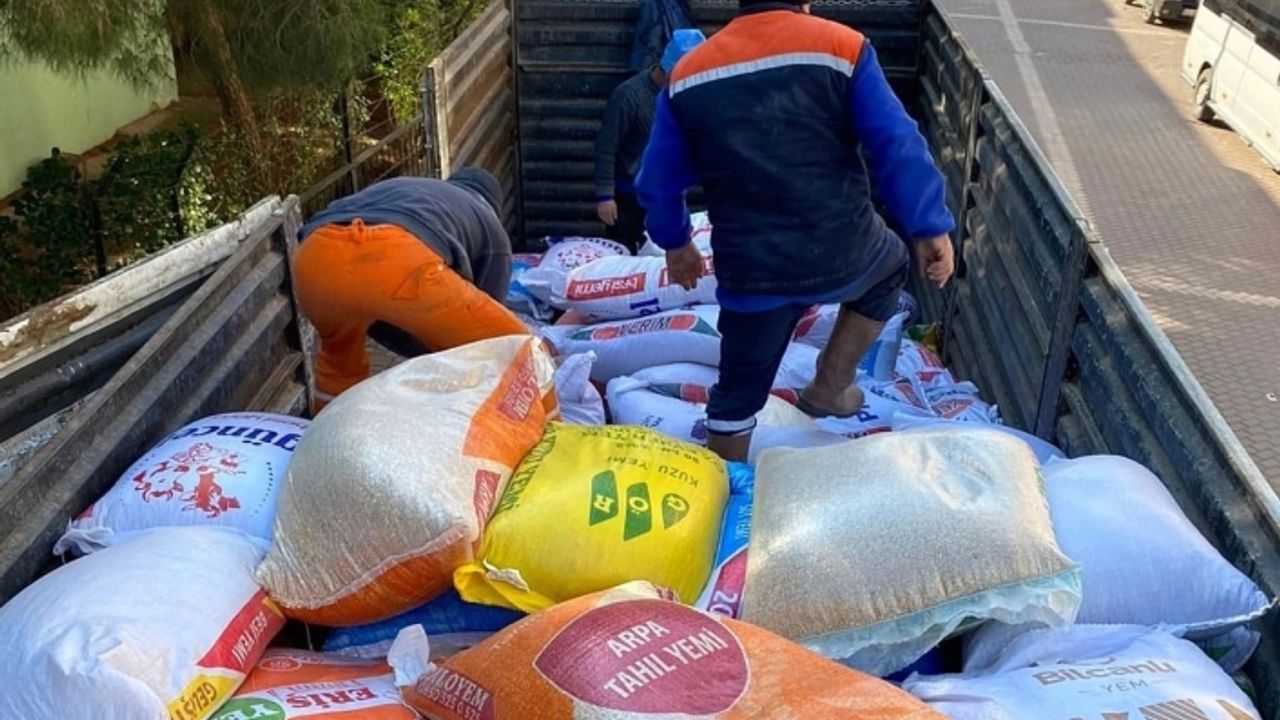 Kınık Belediyesi'nden afetzedelere yem desteği