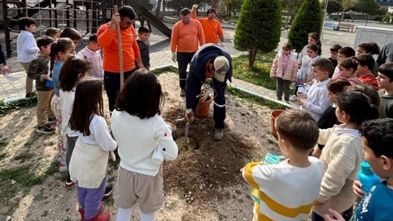 Çeşme’de okul bahçeleri meyve bahçesine dönüşüyor