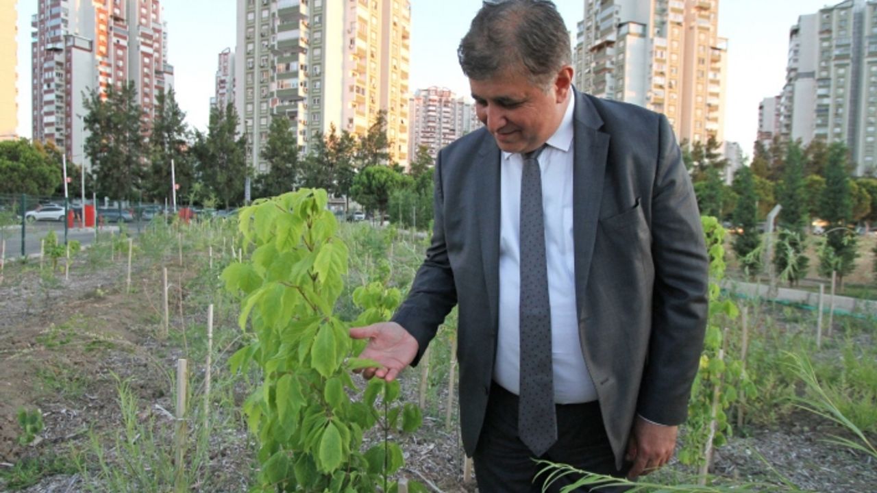 Tugay: Yerel tohumları koruyor ve toprakla buluşturuyoruz