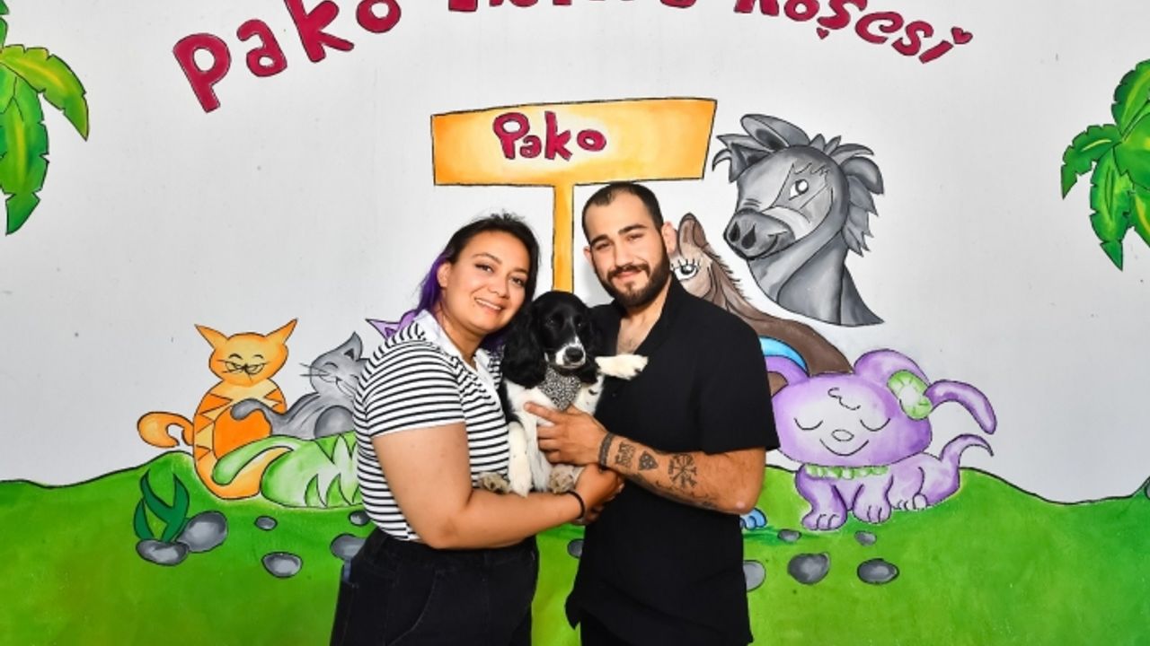 İzmirli gençler Hatay’dan gelen depremzede köpeği sahiplendi