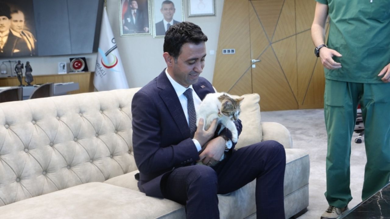 Başkan Önal, yaralı kediye sahip çıktı ‘sahiplenme’ çağrısı yaptı