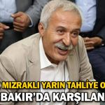 Selçuk Mızraklı yarın tahliye olacak: Diyarbakır’da karşılanacak