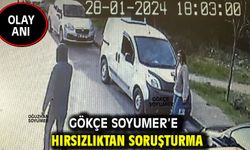 GÖKÇE SOYUMER’E HIRSIZLIKTAN  SORUŞTURMA