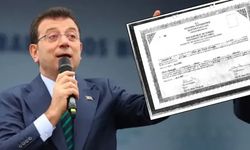 Ekrem İmamoğlu'nun diploma kararının ipucunu Saray'a yakın yazar verdi