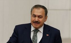 Irak Özel Temsilciliği'ne Veysel Eroğlu atandı