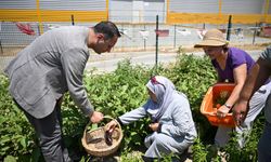 Kadınlar toprakla, Bornova umutla buluşuyor