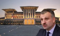 Cumhurbaşkanı Başdanışmanı Oktay Saral'dan 'Kara Cuma' tepkisi