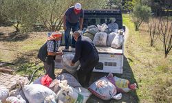 Bornova Belediyesi’nden üreticiye büyük destek