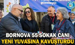 Bornova 55 sokak canı yeni yuvasına kavuşturdu