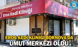 Eros Kedi Kliniği Bornova'da umut merkezi oldu