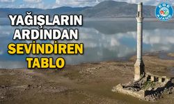 Yağışların ardından sevindiren tablo