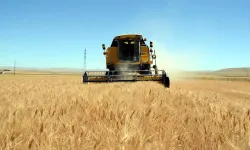 TMO’dan hububat satışlarına ilişkin açıklama