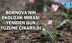 Bornova'nın ekolojik mirası yeniden gün yüzüne çıkarıldı