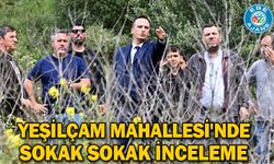 Yeşilçam Mahallesi'nde sokak sokak inceleme