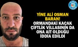 YİNE ALİ OSMAN BARAN!  ORMANDAKİ KAÇAK ÇİFTLİK VİLLASININ DA ONA AİT OLDUĞU İDDİA EDİLDİ
