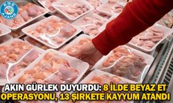 Akın Gürlek duyurdu: 8 ilde beyaz et operasyonu, 13 şirkete kayyum atandı