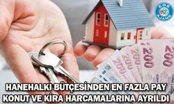 Hanehalkı bütçesinden en fazla pay konut ve kira harcamalarına ayrıldı