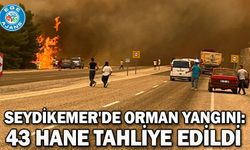 Seydikemer'de orman yangını: 43 hane tahliye edildi