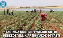 Tarımda üretici fiyatları arttı: Sebzede yıllık artış yüzde 60'ı aştı