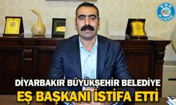 Diyarbakır Büyükşehir Belediye Eş Başkanı istifa etti