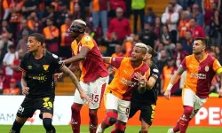 Kır zinciri Göztepe