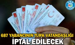 687 yabancının Türk vatandaşlığı iptal edilecek