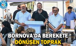 Bornova'da berekete dönüşen toprak