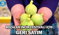 Bozalan İncir Festivali için geri sayım
