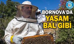 Bornova'da yaşam bal gibi