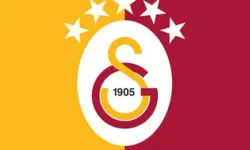 Aslansın yaparsın