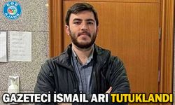 Gazeteci İsmail Arı tutuklandı