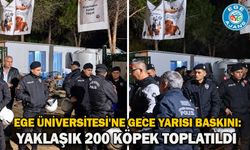 Ege Üniversitesi'ne gece yarısı baskını: Yaklaşık 200 köpek toplatıldı