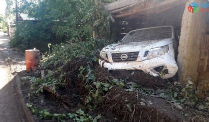 Artvin’de toprak kaymasında 20 hayvan toprak altında kaldı