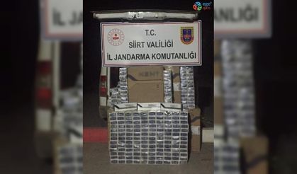 Siirt’te 7 bin 490 paket kaçak sigara ele geçirildi