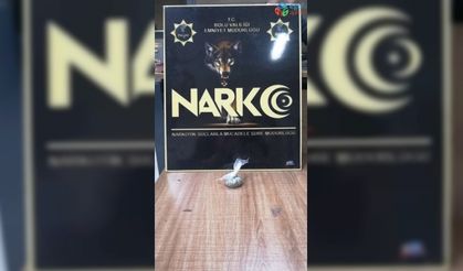 Bolu’da, bonzai ile yakalanan şahıs adliyeye sevk edildi