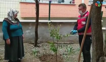 Evinden çıkamayan yaşlı kadın sosyal destek grubundan fidan istedi