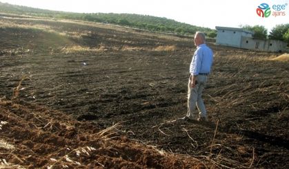 Araban’da Hasat bekleyen 45 dönüm arpa kül oldu