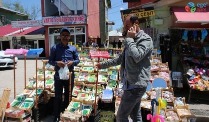 Varto’da bahar mevsimi ile birlikte tohum satışları da başladı
